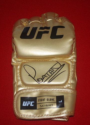 Guanto combattimento alex - guanto,